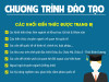 Chương trình đào tạo đại học ngành Quốc tế học, ban hành năm 2015